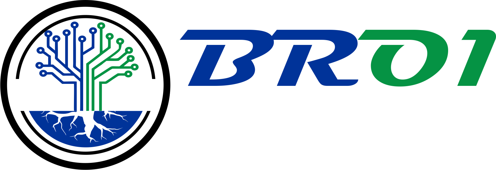 BR01 Digital